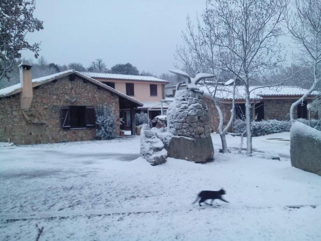 Hotel Il Nido Dell'Aquila Villanova Strisaili Екстериор снимка