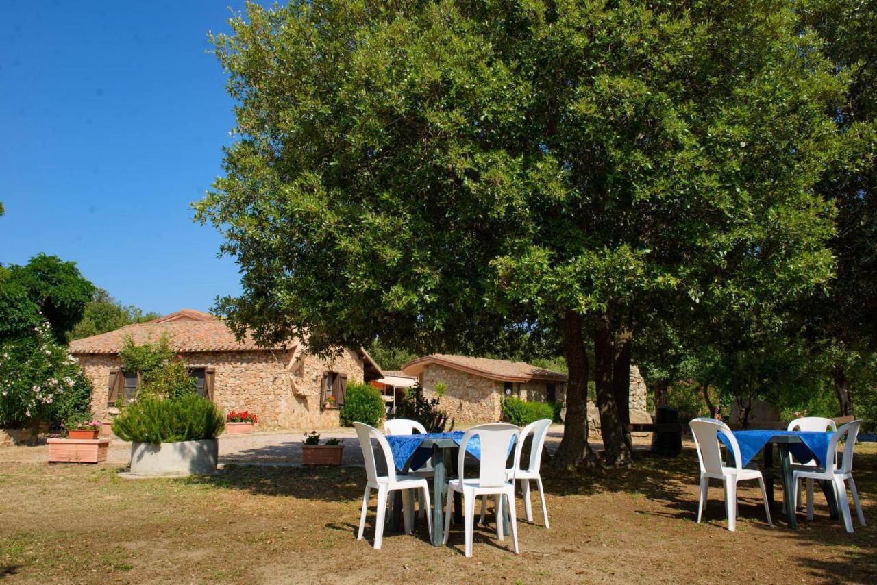 Hotel Il Nido Dell'Aquila Villanova Strisaili Екстериор снимка